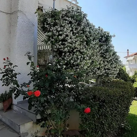 Kleo House Kalives Polygyros Halkidiki * Kalyves Polygyrou